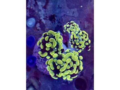 635491278 903521772436086 7315830998855250670 n