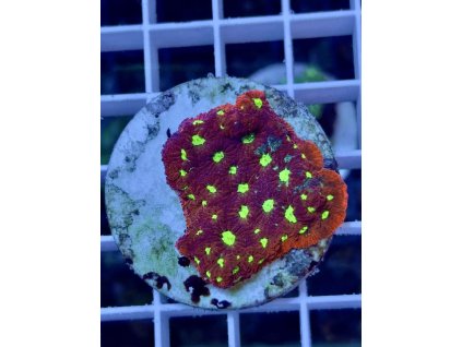 636022704 903521895769407 6693523296100847476 n