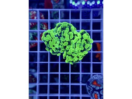 634792800 903522085769388 8561775308575042358 n