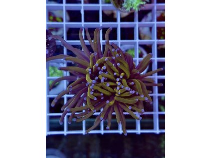 635155291 903522452436018 6192441556492859366 n