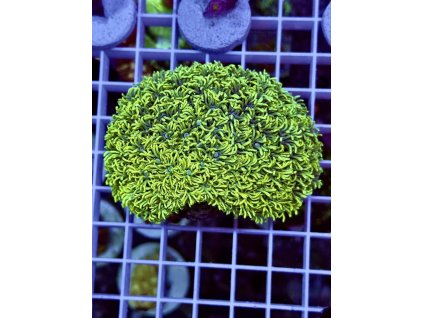 634886367 903521342436129 5314854986209229262 n