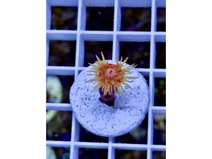 634927649 903521559102774 1507732391550801094 n