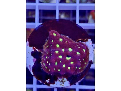 617106169 884584644329799 5866172596994964313 n