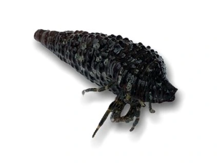 image cb9ad459 fdef 4541 bf62 03649c7dc07c