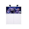 red sea reefer g2 xl 425 delux system zestaw akwarium z biala szafka 5