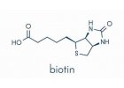 BIOTIN - VITAMÍN B7