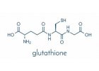 GLUTATHIONE