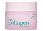 Peptide Collagen