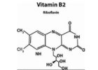 RIBOFLAVIN - VITAMÍN B2