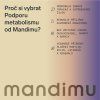 Metabolismus 2