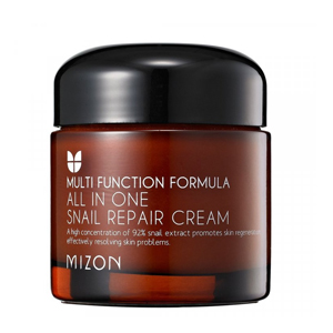 Mizon All in One Snail Repair Cream