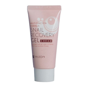 Mizon Snail Recovery Gel Cream