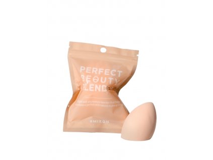 Perfect Beauty Blender