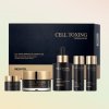 Cell Toxing Dermajours Essential Set