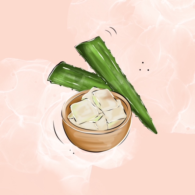 Aloe vera
