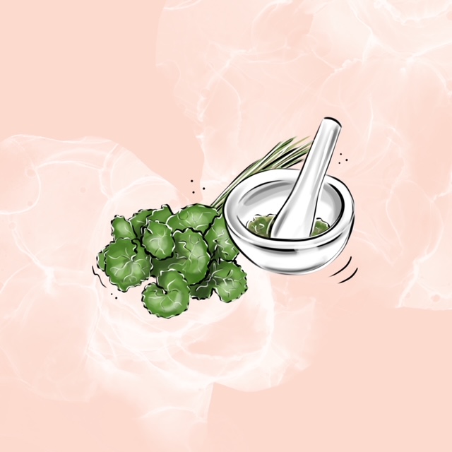 Centela asijská/ Tea tree