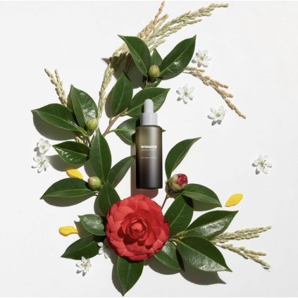 375302B4 8D57 4502 B98F 8313021CBFA9