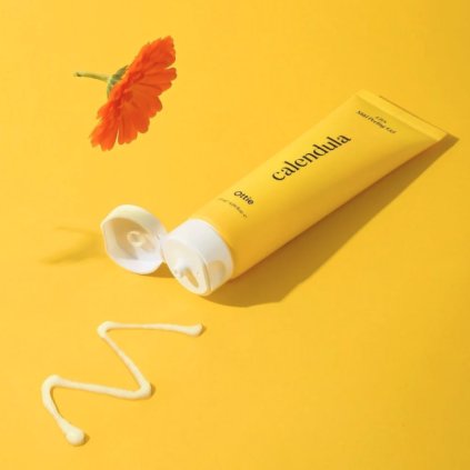 Snímek obrazovky 2026 01 21 v 11.03.58