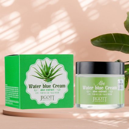 Jigott - Aloe Water Blue Cream - Zklidňující krém s extraktem z Aloe - 70 ml