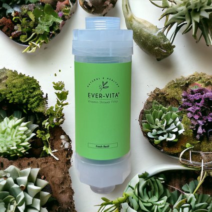 FDF26B2A 8863 4B65 908D C48D5E3DBDEE