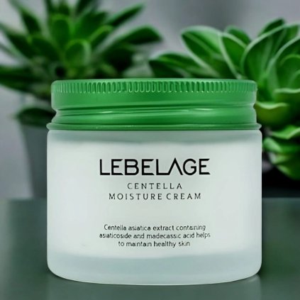 LEBELAGE - Centella Moisture Cream - Vyživující a zklidňující krém s centelou - 70 ml
