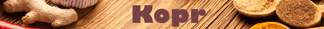 Kopr