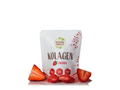 www sablona kolagenmaly8 1.webp