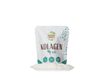 www sablona kolagenmaly2 2.webp