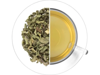 6400c1ff bebf 4089 b3a3 df00b6bdcb4e