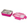 bento box magenta II