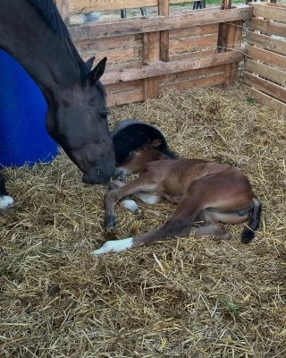 Kiss 🩷 Musim si tu odložit pár vzpomínkových fotek. Čas utíká jak blázen a z miminka už je slečna 🩷🙈. Miluju, dekuju! 🩷...