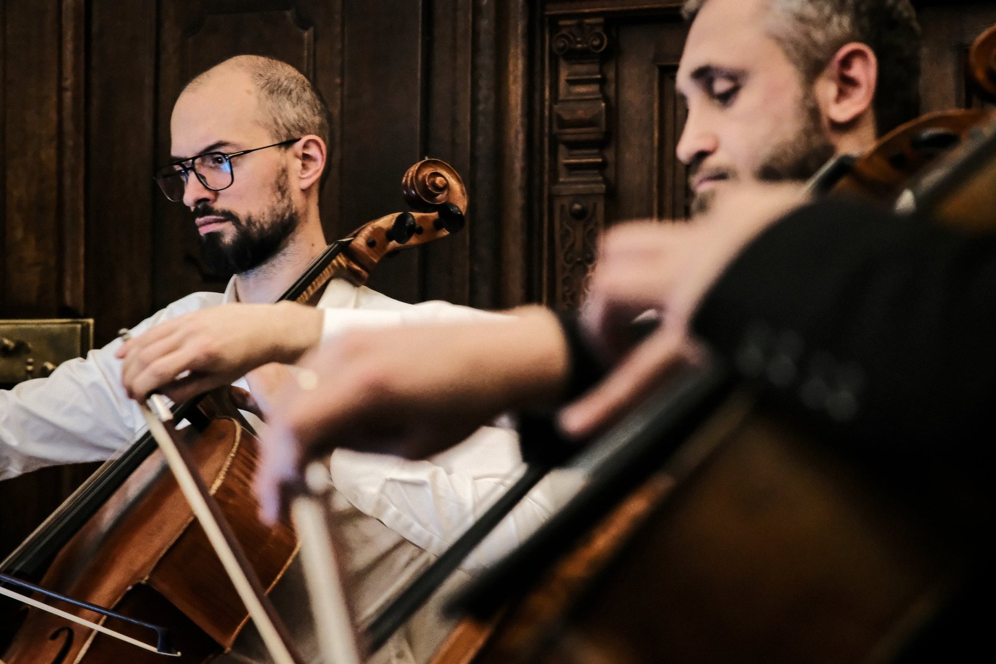 Cello Republic, 18. 1. 2023