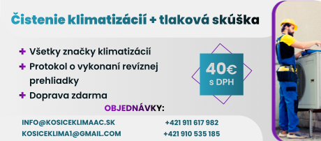 Revízne prehliadky