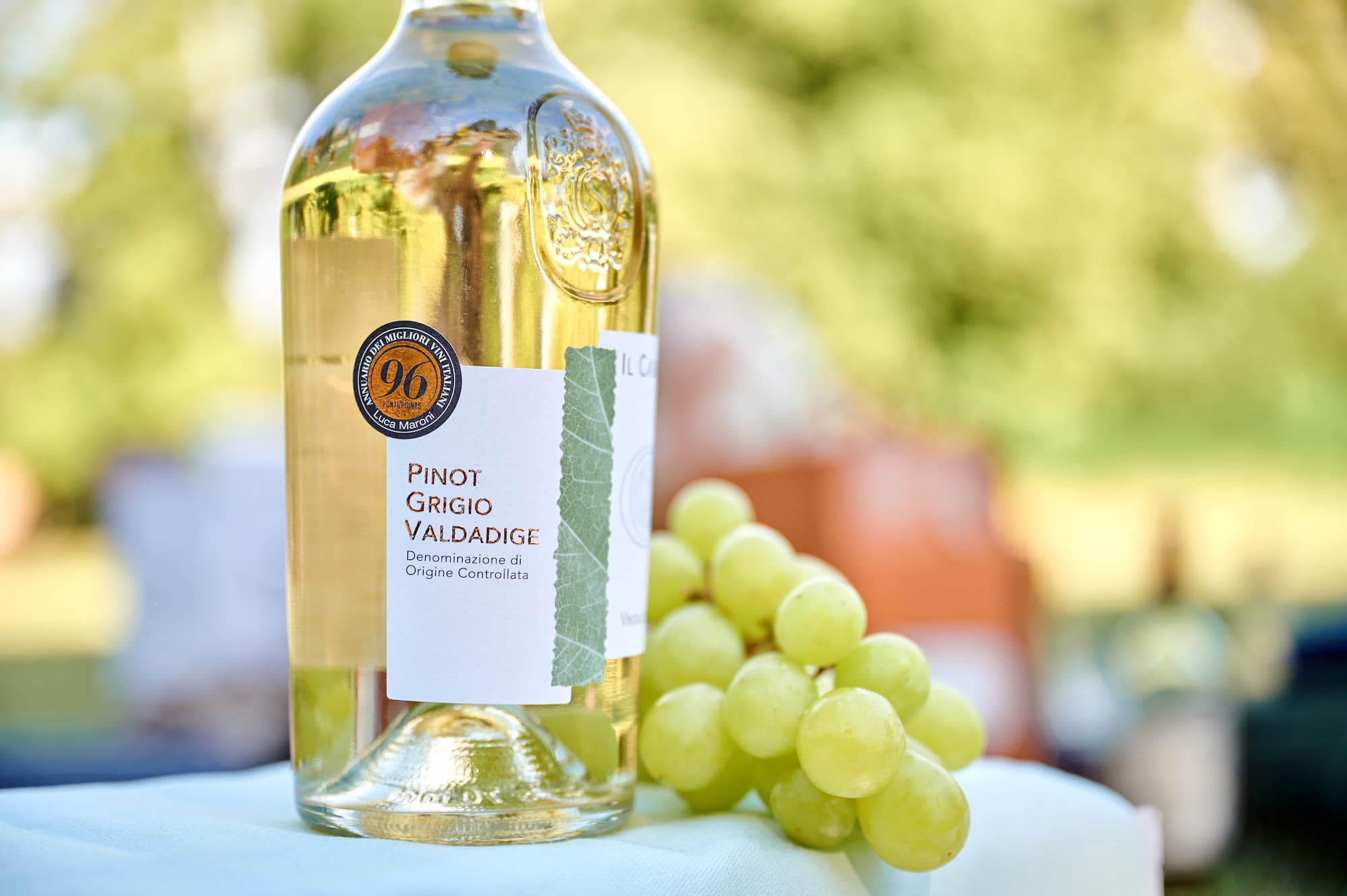 Cesta za vínem po Itálii. Pouze bílé!