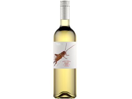 Thaya Vinařství Pinot Gris, pozdní sběr, České bílé víno, 0,75L
