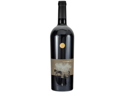 Vinařství Sedlák Cabernet Franc Icone, České červené víno, 0,75L
