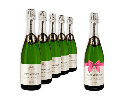 5+1 | Château Haut-Mouleyre Crémant de Bordeaux Brut, Francouzské šumivé víno, 0,75L