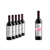 5 + 1 | Odesos Cabernet Sauvignon Bourbon Edition