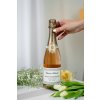 Chartron et Trébuchet Crémant de Bourgogne Pinot Noir Rosé Brut, Francouzské šumivé víno, 0,75L