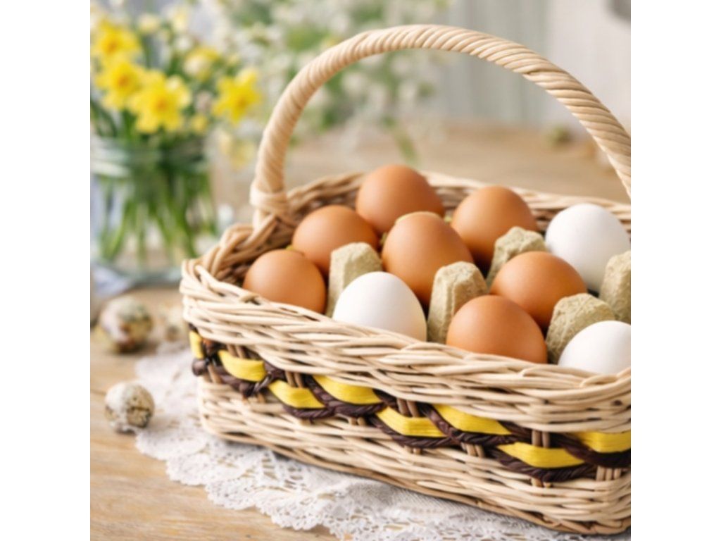 produkt kosik vajicka(1)