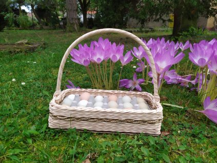 Podnos na vajíčka 18 vajec