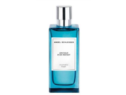 Angel Schlesser Sage