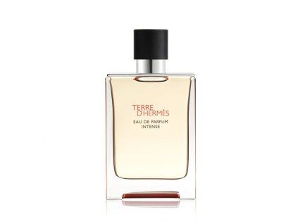 hermes terre intense