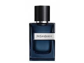 YSL Y Intense