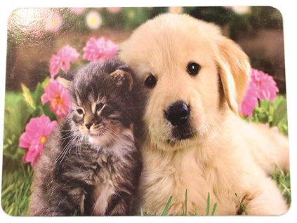 Prostírání 44 x 29 cm  12 ks, 2 druhy po 6 ks