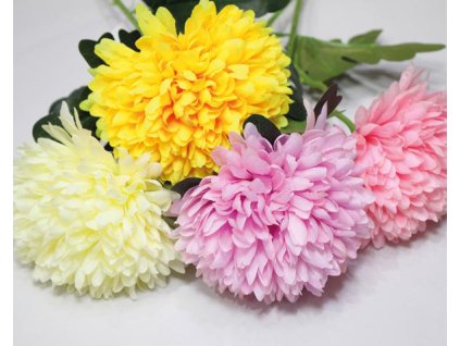 Chryzantéma  sada 16 ks, mix barev