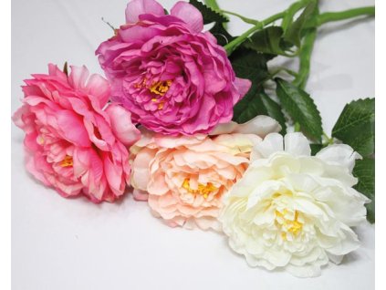 Pivoňka  sada 8 ks, mix barev