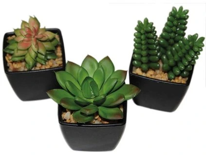 Dekorace kaktus 6-9 cm  sada 6 ks