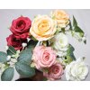 Růže s 2 květy  sada 16 ks, mix barev