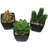Dekorace kaktus 6-9 cm  sada 6 ks